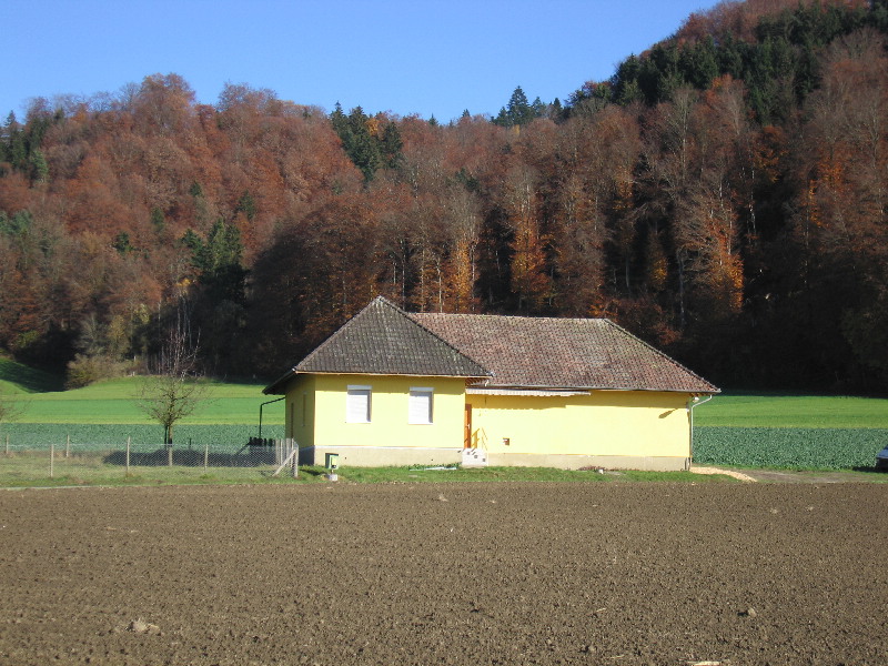 image7