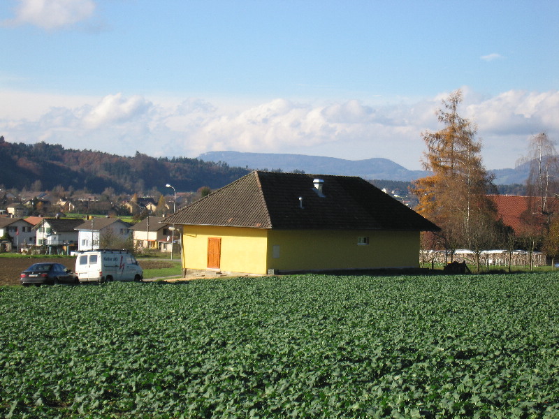 image8
